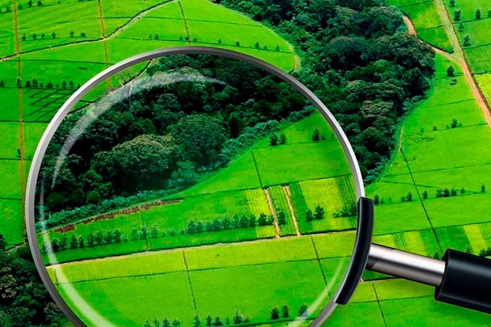 ����������������� �� ��� ���������� ���������������� ������������ �� ���������� � ������������ �������