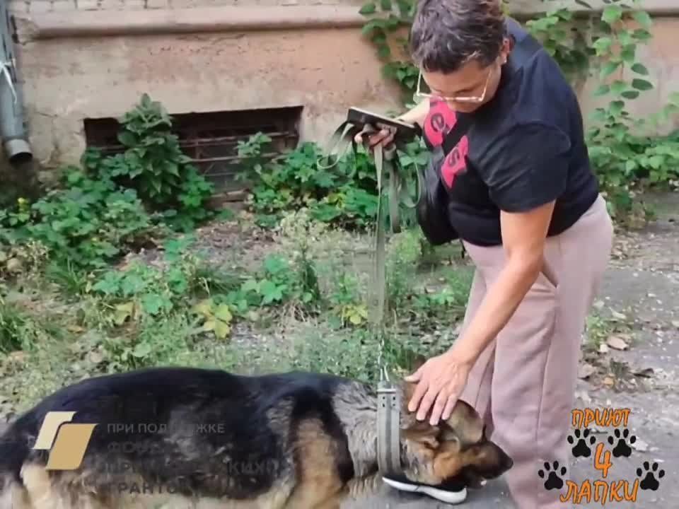 � ��� � ��� ��� ���������� ���������� ��������� ������ ��� �������� 4 ����, � ��������� ��� ���������� � �� ����������