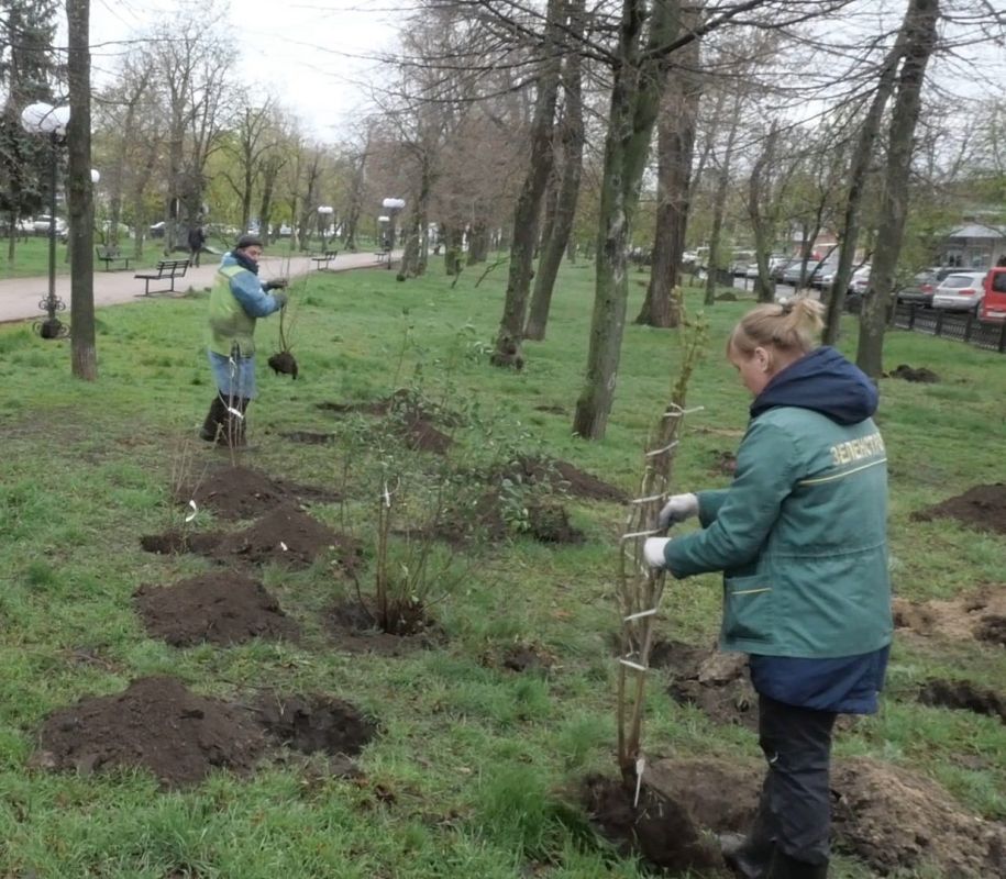 ��������� �������� �������� ��������� � ���� ���� ������� ����� 200 ��������