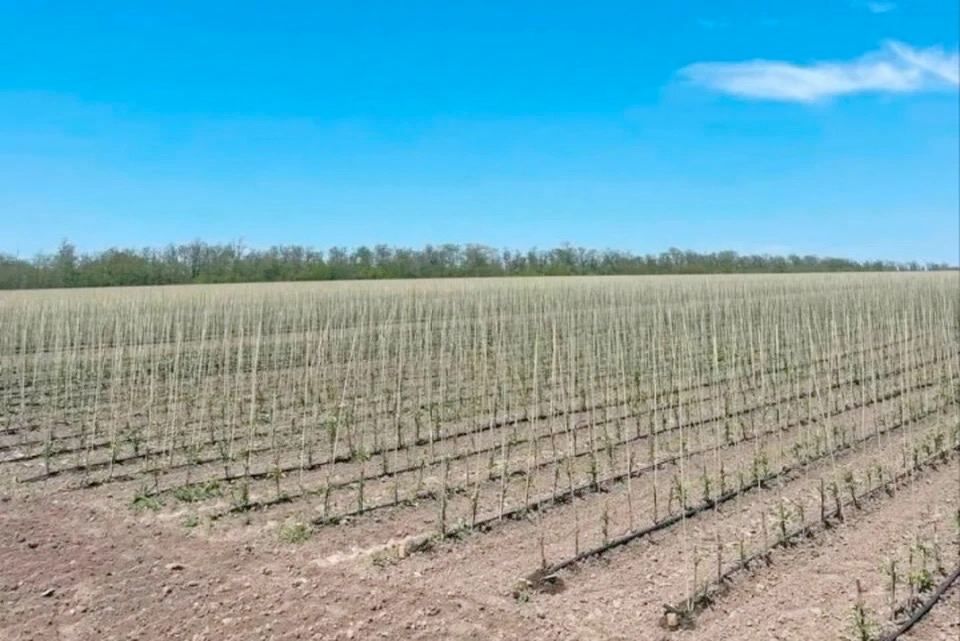 10 ����� � ��������� ����������� �� ����������� ������� ��������� ���������