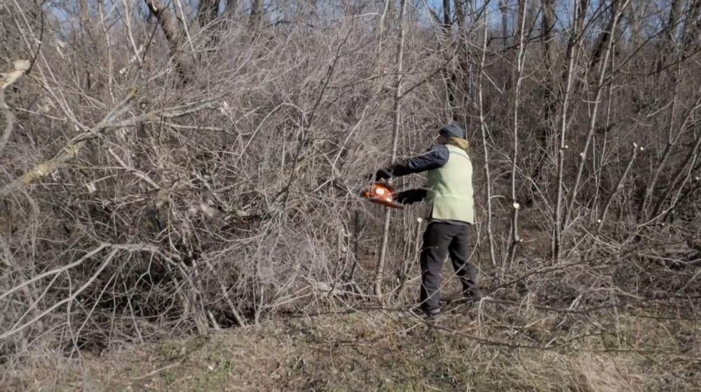 ��������� ����������� ���������� �� ������