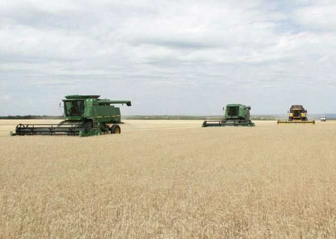 ����� ����� �������������������� ����������� ���������� � ������ ���� �������� ���������� ��������� �� �����������, ������� ����� ��� ������ ��������