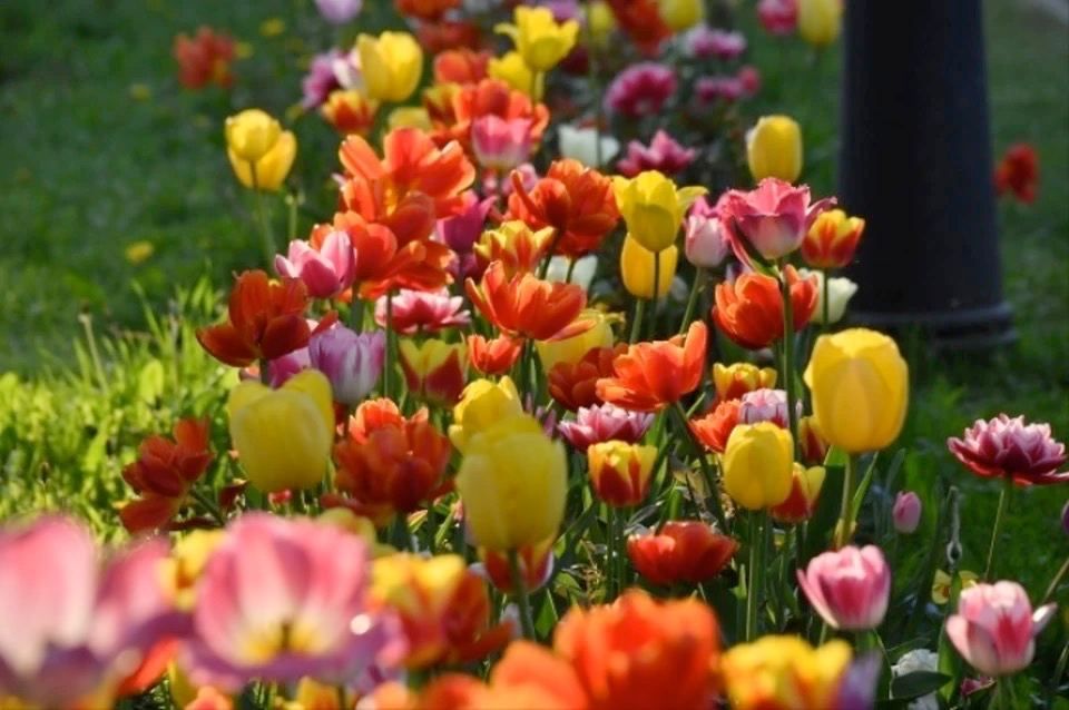 ������� 47 ����� ������ ��������� �������� � ������ ��������