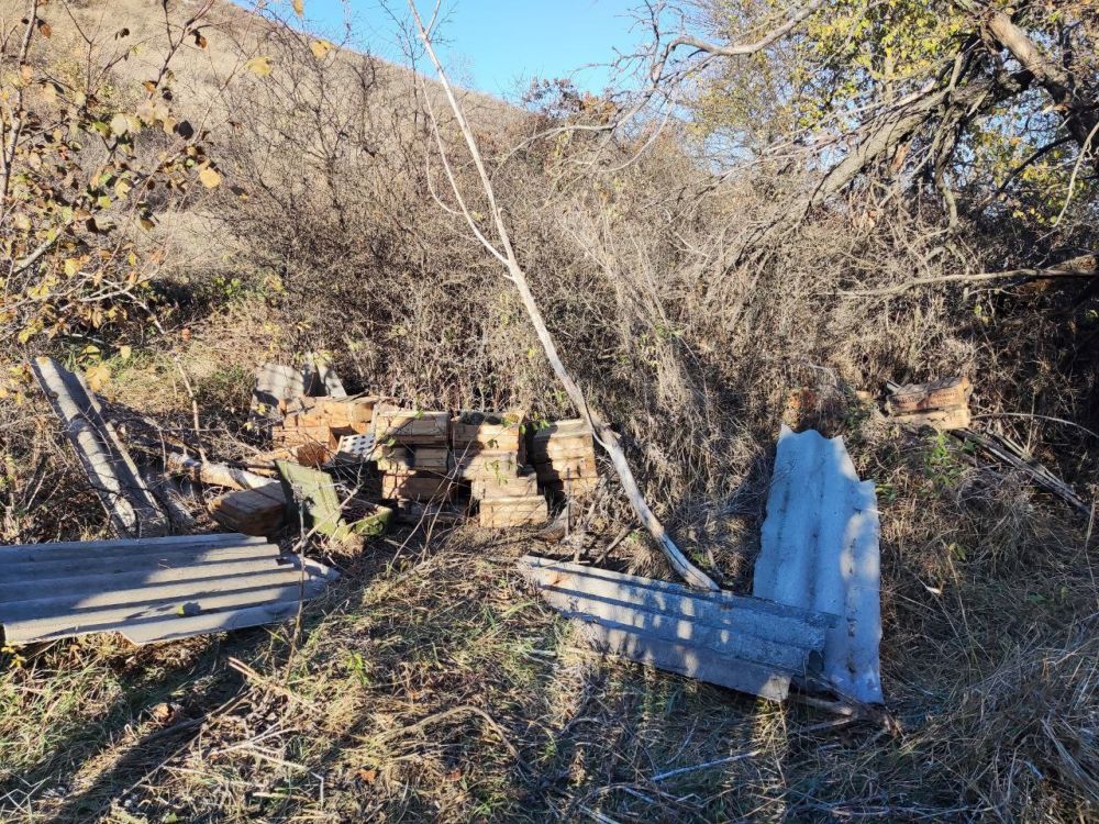 � ��������-��������� ������ ���������� ������ � ����������