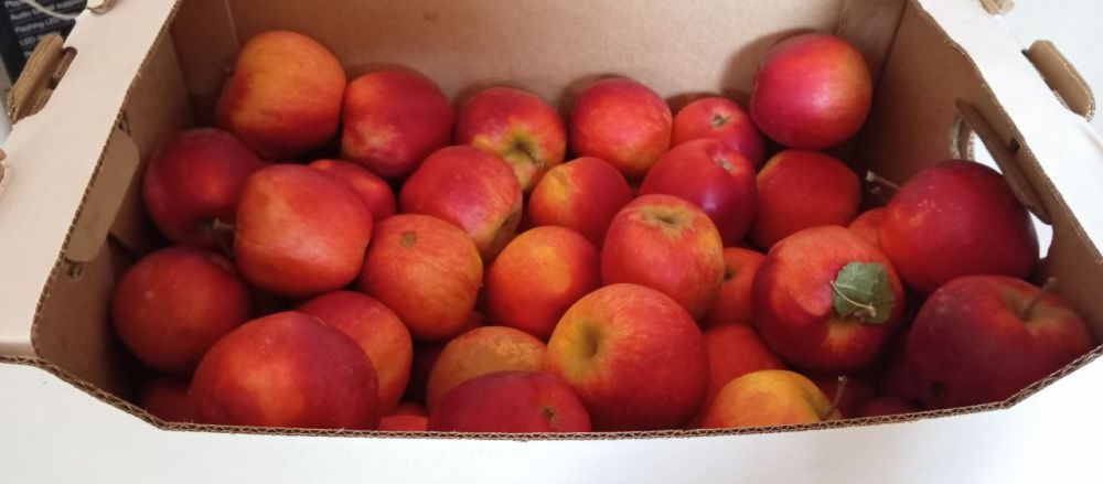 ��������� ���������� ����������� ���������� ������� ��������� ��������������