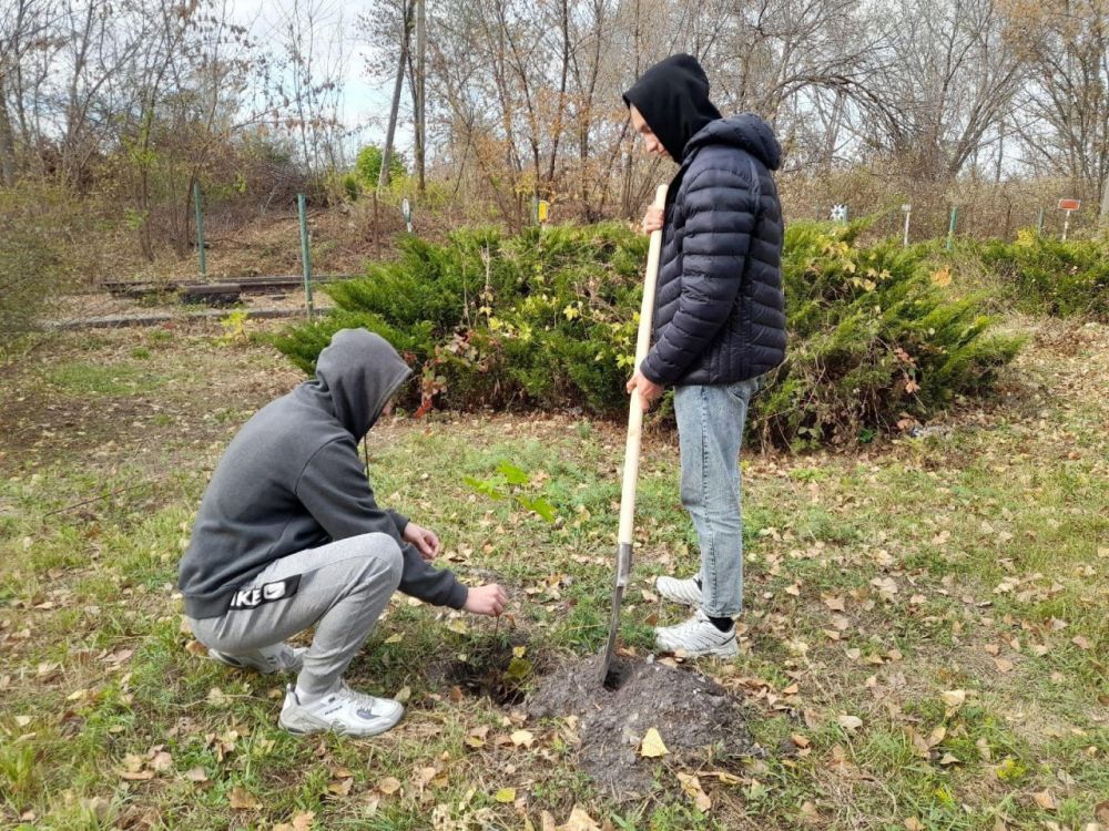 ���������� ���������� � �������� ���������� �������� �������� ������� ����� � �����