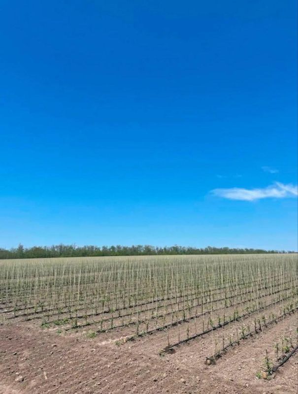 ������������ ������� ��������� ��������� 10 ����� � ���������, �������� � ������� �������������