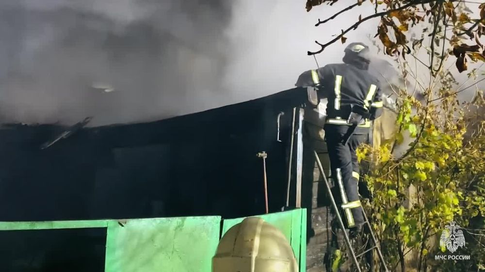 �������������� ��� ������� ����� �������� ������ 51-������� ������ �. ������������