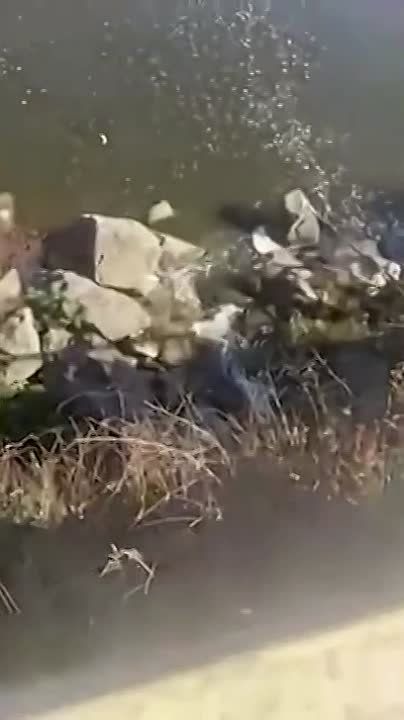 ���������� ���������������������� ���������� ������������ �����, �� ������� ����������� �������� ������ �� ��� ������