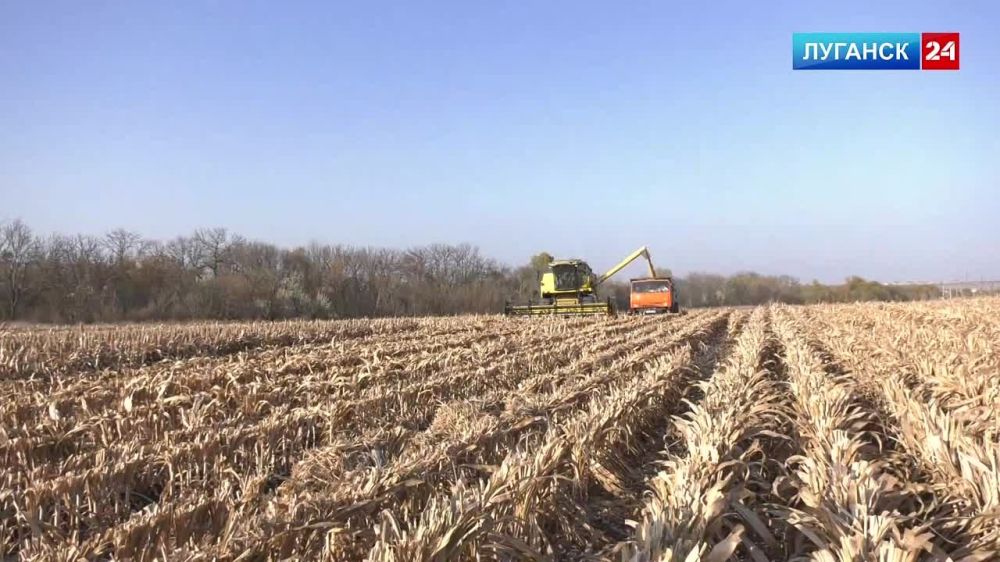 ������ ������� �������� �������� ����� � ����������� ������ ������ ����������� ����������� �����