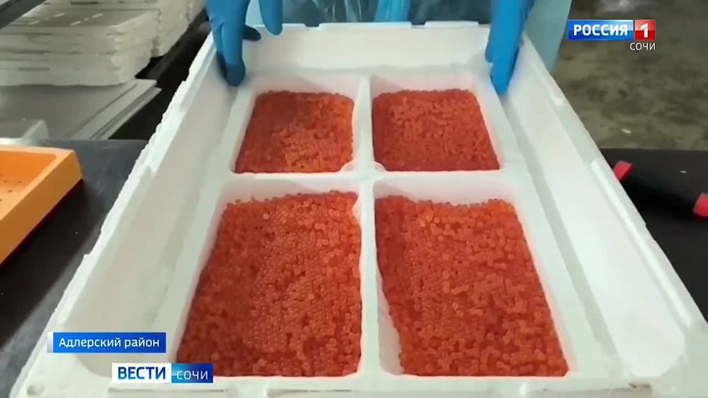 �� ���� � ������� ��������� 30 ����� ��������� �������� ������