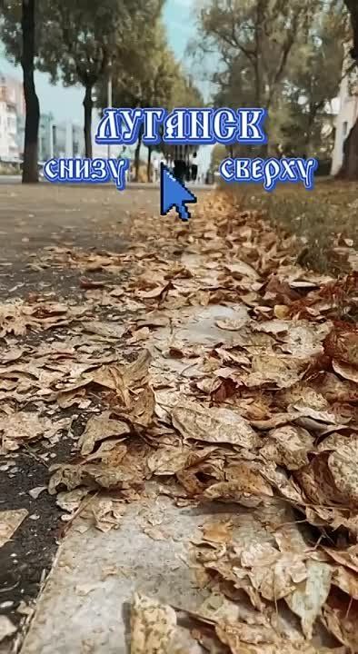 ������� ������� ��������� � ������ �������