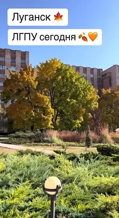 �� ������ ����������, ��� ������� �� ���������� ���������� ���������������� ��������������� ������������