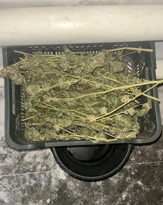 � ���������� 1979 �.�. ������������ ������ ������������� ��������