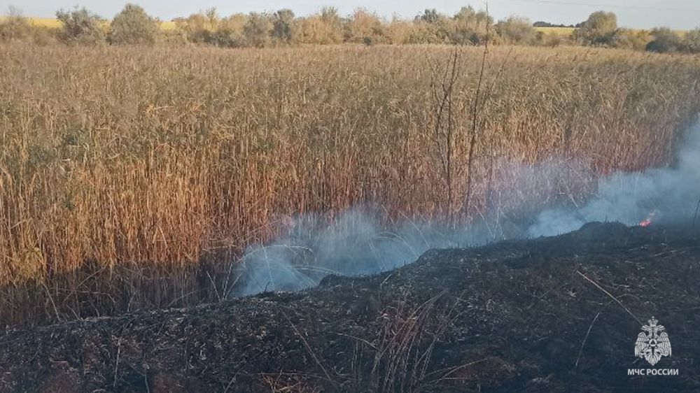 � ���������� ����� ��������� ����������� ������