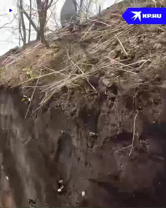 �����, �������� ����������� �������