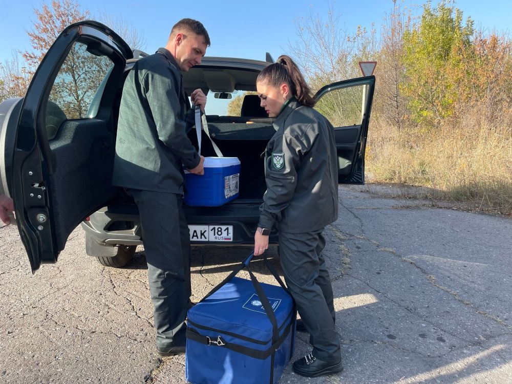 ���������� ����������������� �� ��� ���������� � ���������� ����� ���������������������� ����������� �� IV ������� 2023 ���