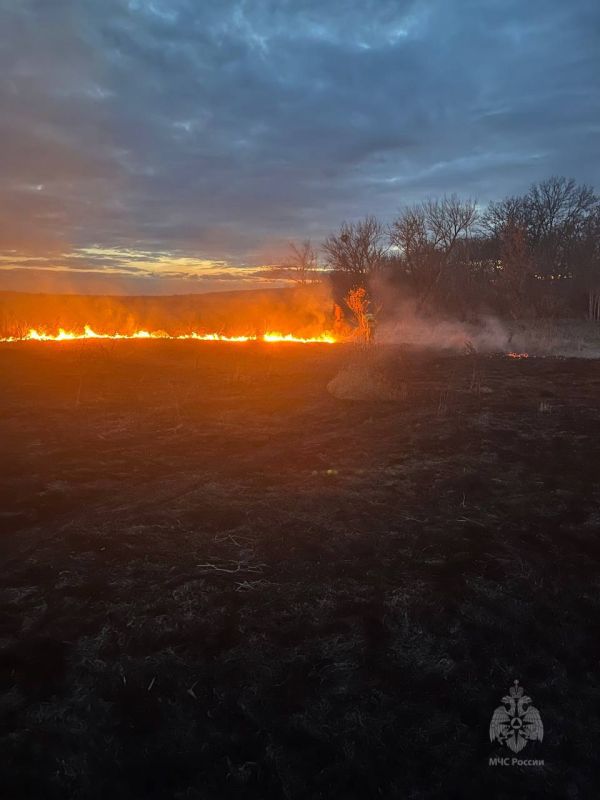 �� �������� ������ �������� ������������� ����������� ������ � 10 ������� ����������