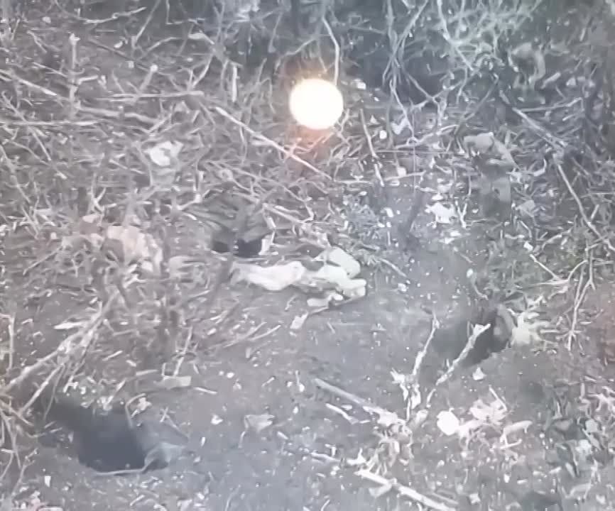 ������ ����� ������ �������� ��� ��� �����������