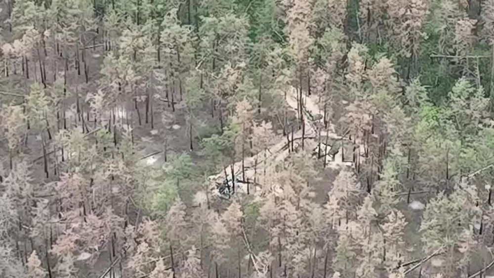 ������ ��������: �� ���� ����� ������� ��������������� ���� ������� � ������� ��������� ������� ����������� ���