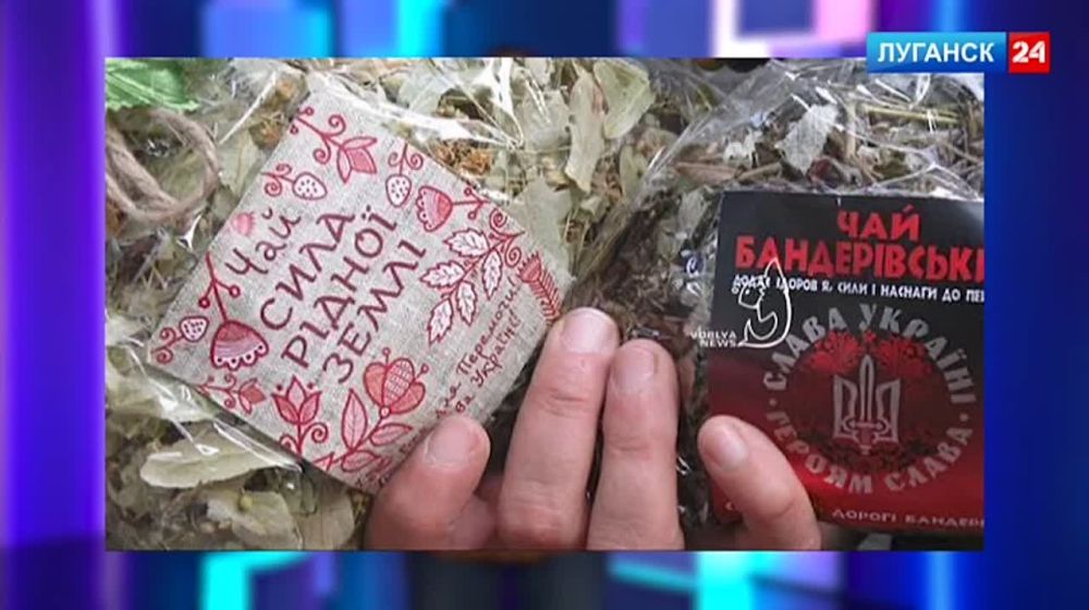 ����� ������ ��������� �������� �� ������� �� ���������� �������� 24� ��������� ��� � ��������� ������������, ������� � ���������������, ������������ ��������� �� �������