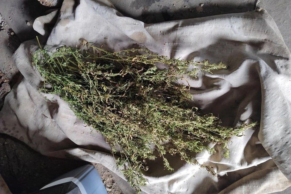 ����� ���� ����������� ��������� ������ � ������ ����������