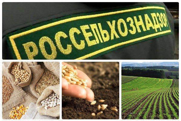 ���������� ����������������� ���������� � ������� ����������� ��������������� ��������� � �������� ���������� ���������