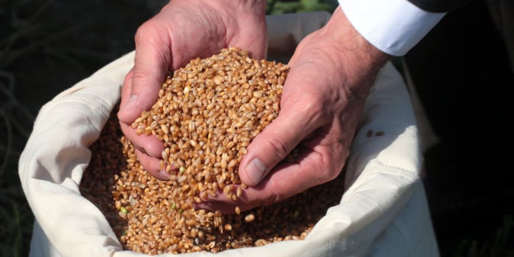 ������� ��� ����������� � ������ ������� ������ ����� 77 ����� ���� �����, ������������� � 2023 ����, �������� � ���������� ����������������� �� ���