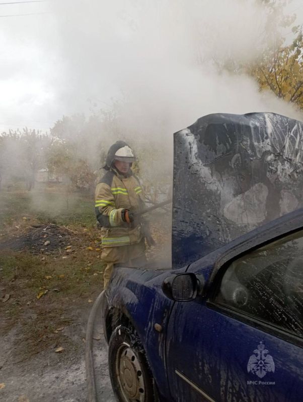 ���������� ��� ���������� ������������� ��������� ��������� ����������