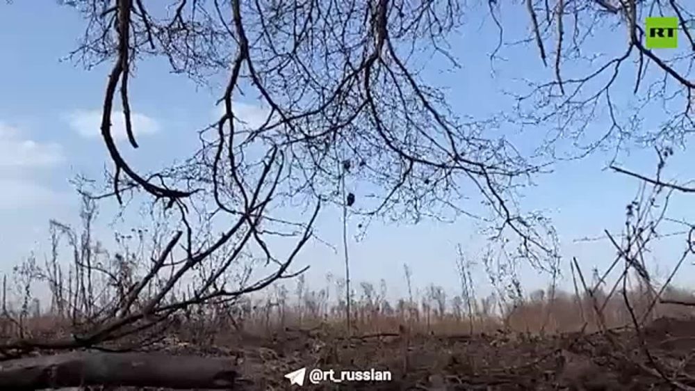 ��� ��� ���������: ��� �� ����� ���� ������ ���������� � ������� �����