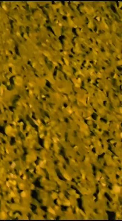 ������� � ������ ����-�����