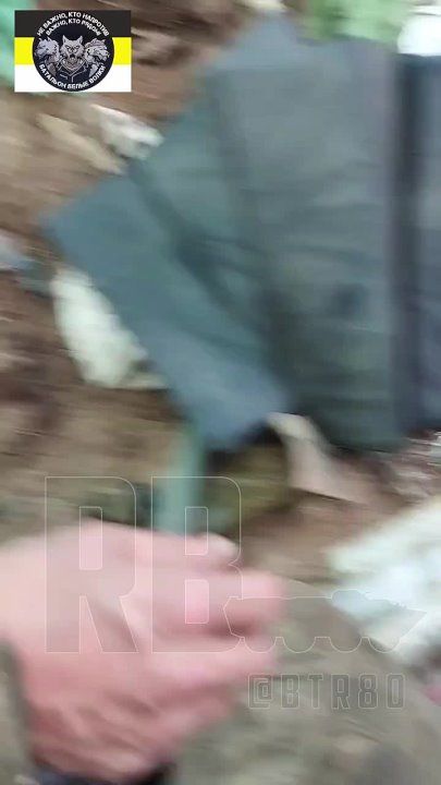 ����������� ��� ���������: ����� ����������� "�����" ������ ������� ���