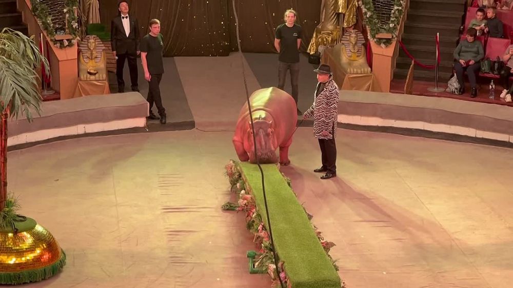 �������� ����� ��������� "������ ���" ���������� ������� � ��������� �����, �������� � ����������� ���