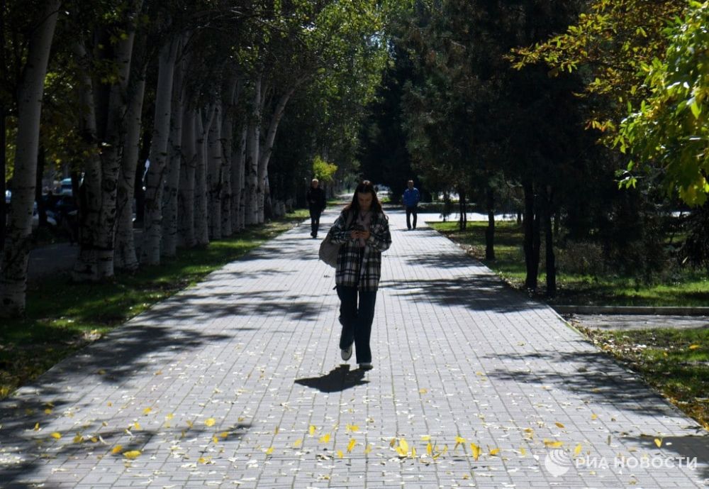 ������ �� ����� ����������� ������