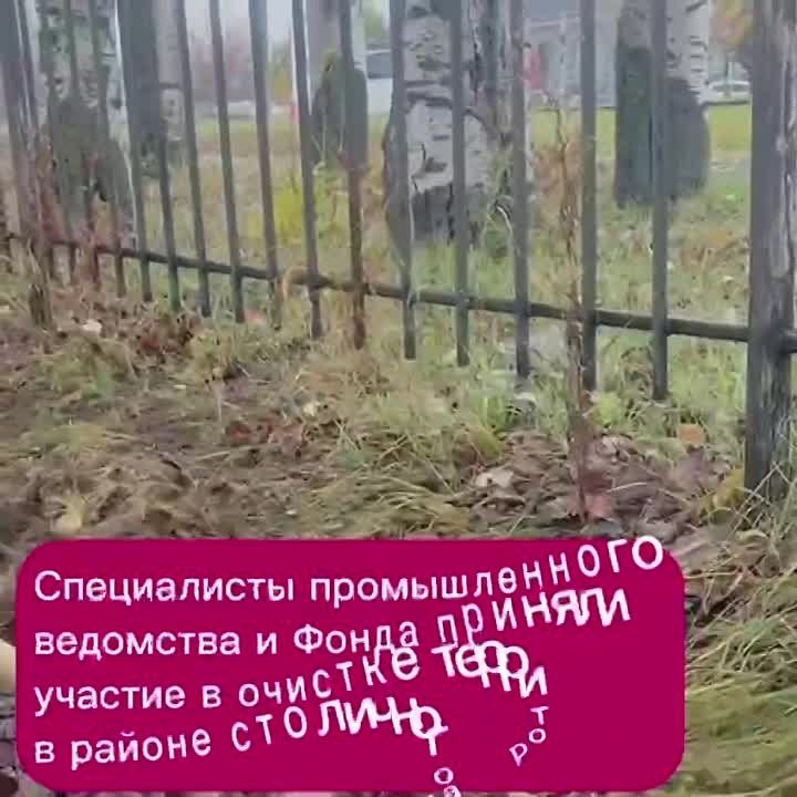 ���������� ������������ ���������� � ����� �������� �������������� ��� � ������ ���������� �������� �� ������ � ������ ����� ��������� � ��������, �������� � ���������