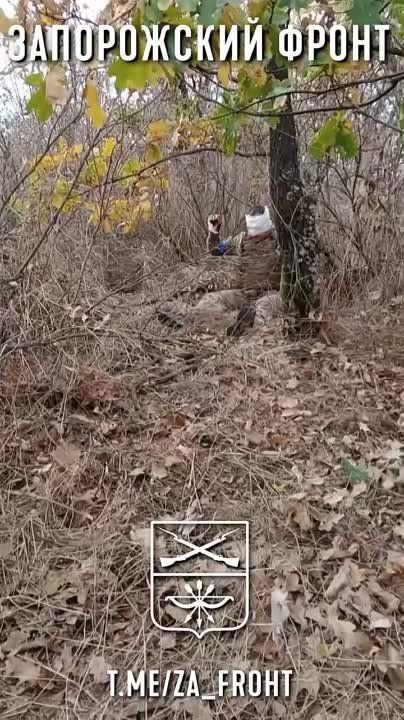 ������� 291 ��� ��� ��������� �������� �������������� ���. ����� ������� ���� �� �����������