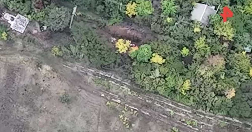 ���������� �������� ����������� ������� ��� ���������� �����������