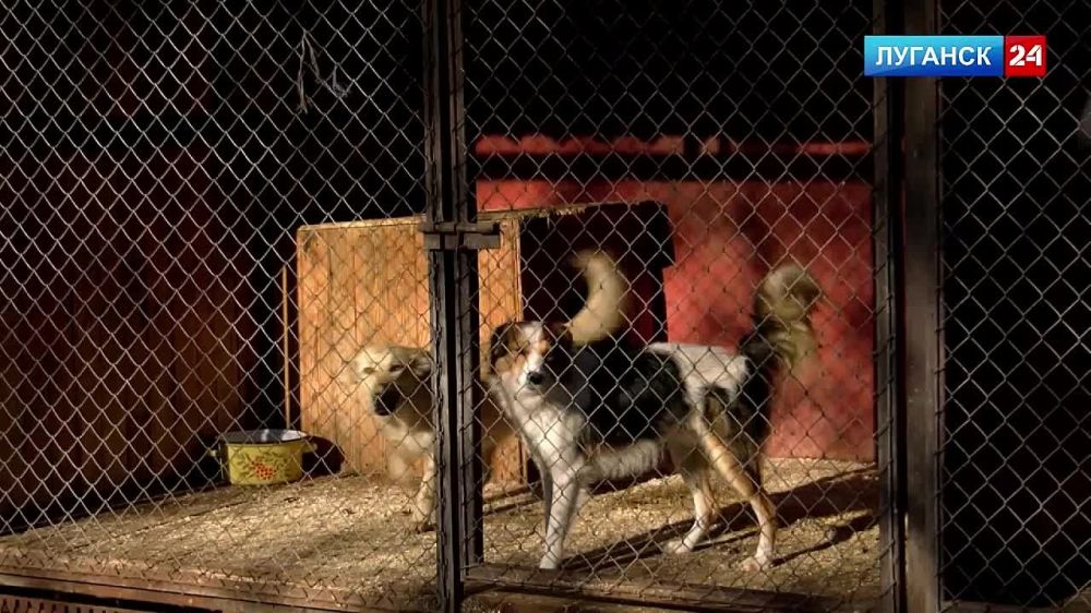 ��������� ����� ���� ���� ��������� ������, ������� �������� �������� ����� ��������� ��������