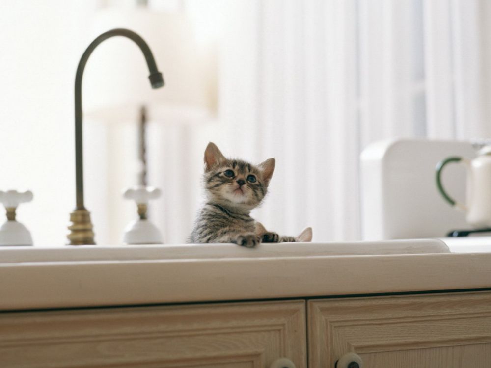 ������������� ������� ��������� 1 ������ ����� ��������������