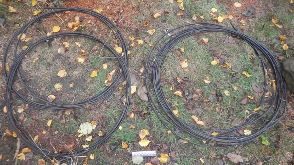 ������������ �������� ����� ������ ����� � ��������������� ������ ��������