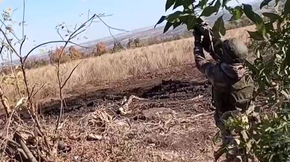 ������ ���������� ����������� �������� �������� ���������� �������� �������� ���������� "�����"