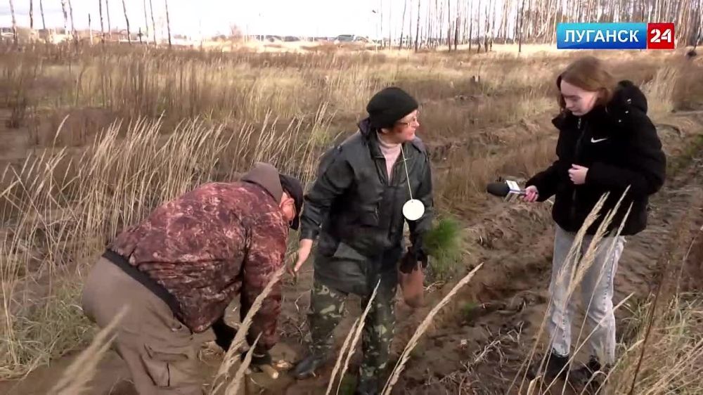 � �������� �������������� ����������� �������� �������