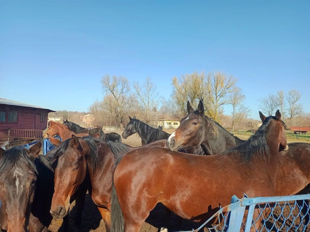 ��������� ������ ����� � ��� ������� ����������� ��������� �������