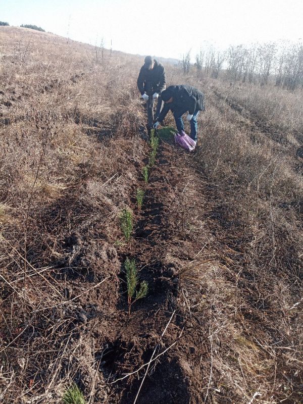 � ������ ������������� ����� ��������� ��� ���������� ������������ ��������������� ��������� � ������������� �������� ������ �������� 8,8 ����� �������� ����� �� ���������� ������������ �������������� ������, �������� � ���������� ���