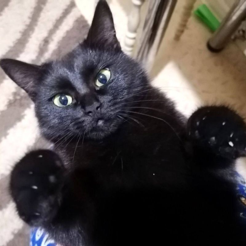 ������ ��� ������������ � ���, ����� ����� ������� ���������� �� ������