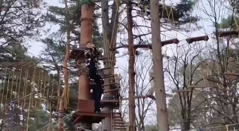 ���������� ���������� �� ��������������� ���� ��������� � ������� �������� ��� ����������� ��� ��������� ���������� ���������� �� ������-����������� ������ ������������ ���������-��������������� ����� ��� ����� �� ��������� �������� ����������