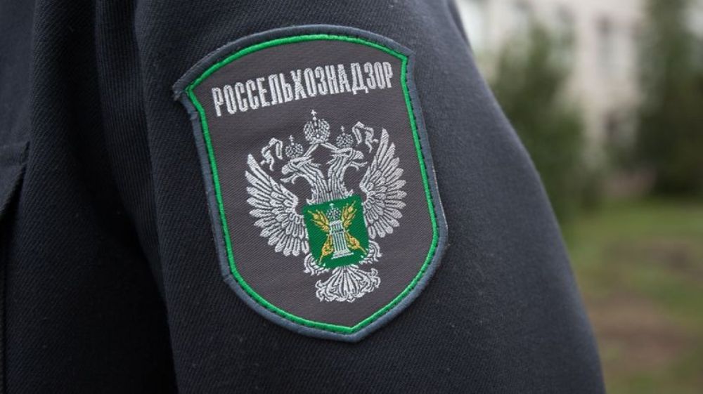 ���� ������ ��������� ��� �������������� ���������������� ������������ � ����� �����������