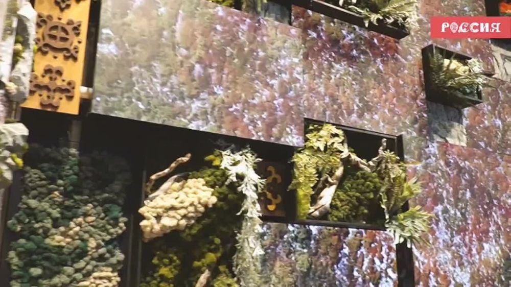 ������. ����. ���������� � ���������� ������� � ������������� ��������-����� ��������. ��� ������, ��� 89 ��������, ������� �� ����� ��������