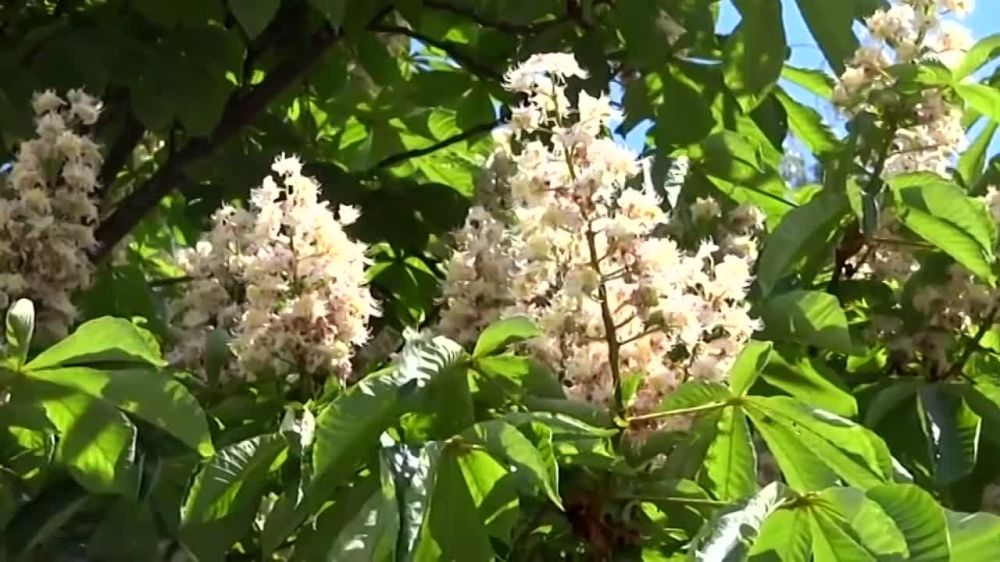 ������� �������������� ������������ ���� ���, �������� ������������ ����� ����������� ��� ������� ���������� ����������� �������������� ����� �� ���� ���������� ������!�