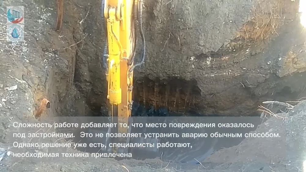 ����������� ����������� "�����������" ��������� ������ � ������� ����������� ��� �������� � ������ ��������, �������� �����-������ ������������ ������������� � ��� ���.